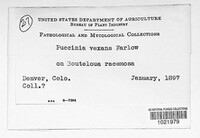Image Associated With the Occurence